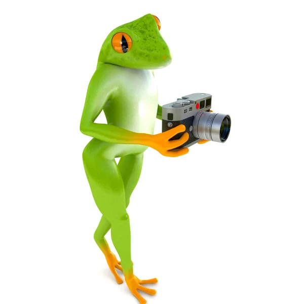 Tropické žáby fotografie — Stock fotografie