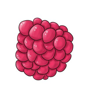 Beyaz bir arka planda ıssız bir köy ahududu.