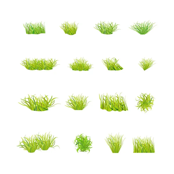 Grünes Gras Verschiedenen Formen Und Größen Auf Weißem Hintergrund Vektorbild — Stockvektor
