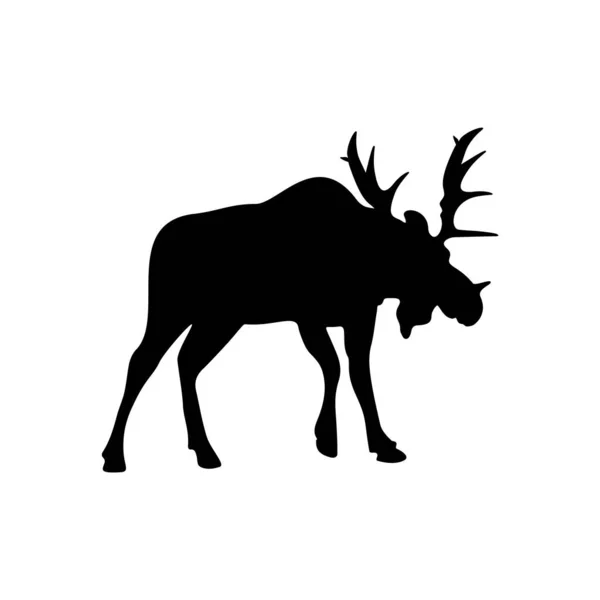 Silhouette Wild Animal Moose White Background Vector Image — Stock Vector