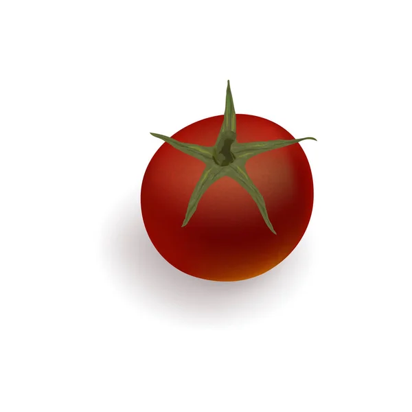 Tomate Fresco Jugoso Rojo Sobre Fondo Blanco Imagen Vectorial — Vector de stock