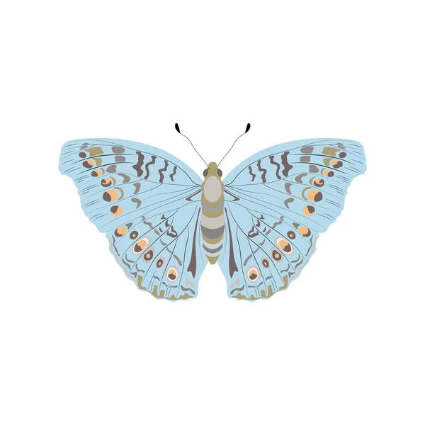 Motýl Řádu Hmyzu Pestrobarevnými Skvrnami Bílém Pozadí Vektorový Obrázek — Stockový vektor