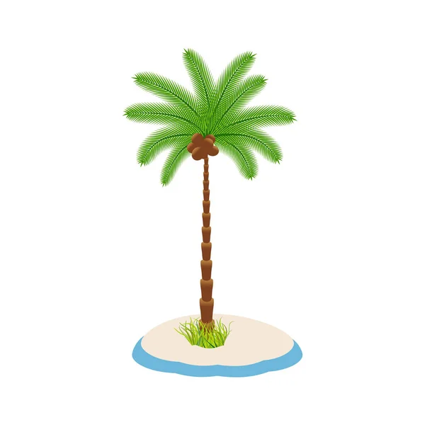 Una Palmera Con Follaje Verde Cocos Una Isla Sobre Fondo — Vector de stock