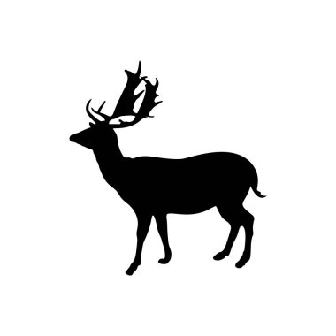 Boynuzlu bir geyiğin silueti, beyaz arka planda yaşayan artiodactyl memeli bir ailenin vahşi hayvanıdır. Bir vektör resmi.