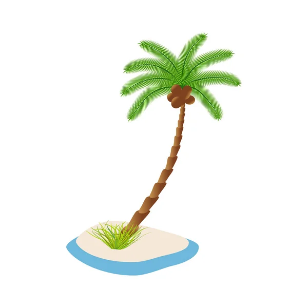 Palmeira Com Nozes Coco Numa Ilha Com Areia Sobre Fundo — Vetor de Stock