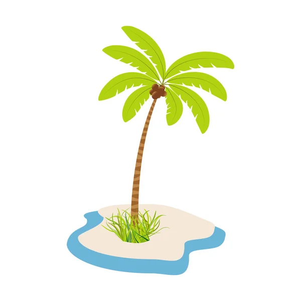 Palm Tree Coconuts Island Ocean White Background Vector Image — Stock Vector