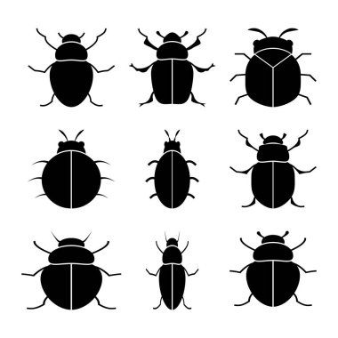 Coleoptera ailesinin böceklerinin siluetleri beyaz arka planda siyahtır. Bir vektör resmi.