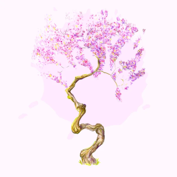 Körsbärsträd — Stock vektor