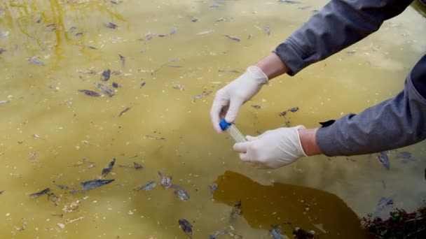 Male ecologist in rubber gloves taking water probes from dirty polluted river — Stock Video