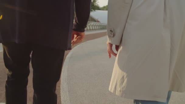 Back view of mature couple strolling along city park and holding hands — Stock Video