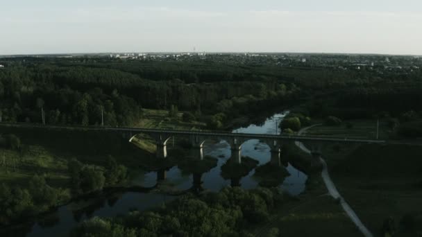 夜明けに森の中の川を渡る鉄道橋の空中トップビュー — ストック動画