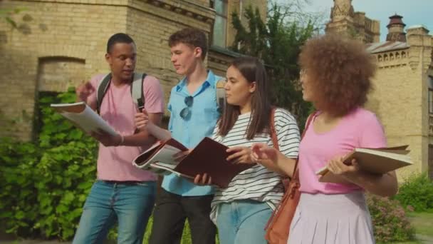 Mixed race students preparing for lecture, discussing homework outdoors — Vídeo de Stock