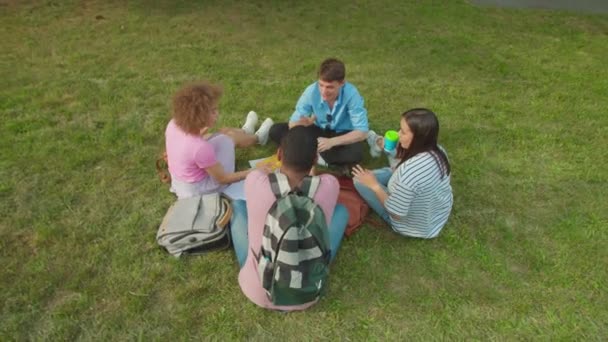 Mixed race students brainstorming together sitting on grass outdoors — Vídeo de Stock