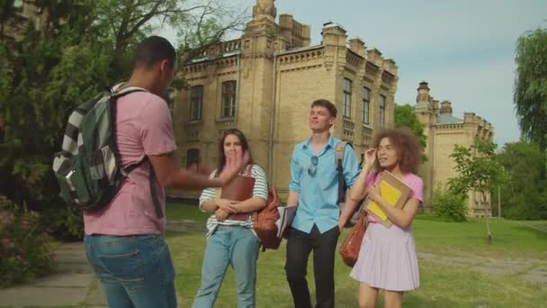 Mixed race friends walking in campus park, listening to friend outdoors — Vídeo de Stock