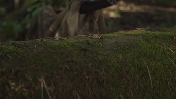 Close-up de sniper colocando para fora focinho de rifle com supressor no log — Vídeo de Stock