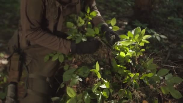 Молодий солдат готує тактичний снайперський камуфляжний одяг у лісі — стокове відео