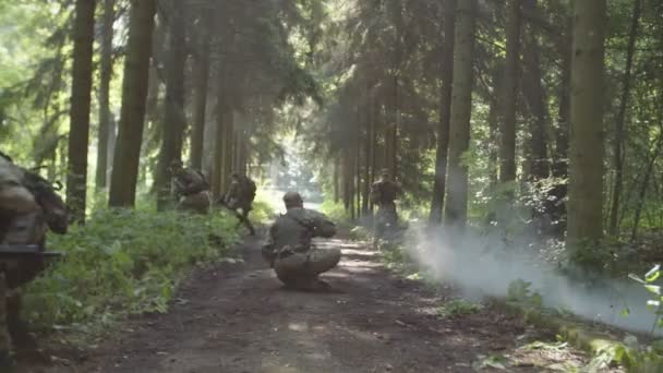 Combate médico evacuando soldado herido del punto de lesión en el bosque — Vídeos de Stock