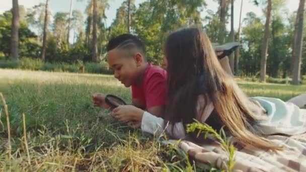 Niños de la escuela usando lupa, mirando hierbas e insectos al aire libre — Vídeo de stock