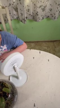 Genç kız makyaj yapmayı evde öğreniyor, kozmetik ürünlerini merakla ve özenle kullanıyor. Genç yaşta güzelliği ve kendine bakımı keşfetti, rahat ve tanıdık bir ortamda pratik yapıyor..