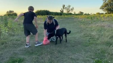 Bir anne ve oğlu doğada birlikte köpeklerini gezdirirken bir aile anı başlar. Sıcak akşam ışığı, ülke yaşamını, aile zamanlarını ve ebeveynler ile çocuklar arasındaki şefkatli bağı yansıtır..