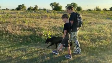 Bir anne ve oğlu doğada birlikte köpeklerini gezdirirken bir aile anı başlar. Sıcak akşam ışığı, ülke yaşamını, aile zamanlarını ve ebeveynler ile çocuklar arasındaki şefkatli bağı yansıtır..