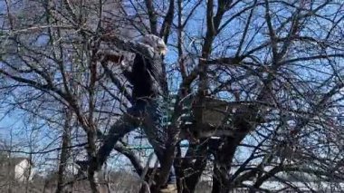 Genç bir adam güneşli bir bahar gününde ağaçları buduyor ve el aletleriyle bahçeyle ilgileniyor. Mevsimlik bahçe işleri, dalları budamak, bahçe bakımı ve parlak güneş ışığında yeni bir başlangıç konsepti.