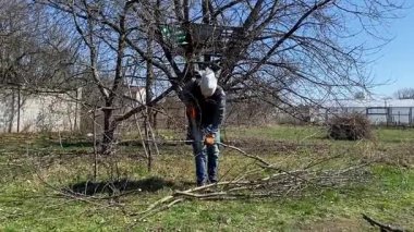 Genç bir adam güneşli bir bahar gününde ağaçları buduyor ve el aletleriyle bahçeyle ilgileniyor. Mevsimlik bahçe işleri, dalları budamak, bahçe bakımı ve parlak güneş ışığında yeni bir başlangıç konsepti.