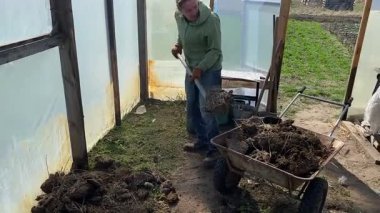 Genç adam bir sera hazırlıyor ve güneşli bir bahar gününde çiftçilik hazırlığı yapıyor. Toprak hazırlama, temizlik ve ekme, tarım bakımı ve çiftçilik rutini.