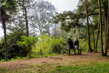 Botanik bahçelerinde Batum, iki kız bir bankta