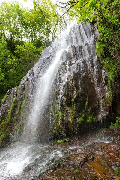 Faller i Georgien — Stockfoto