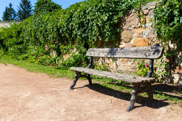 Bench in the park — Stock Photo, Image