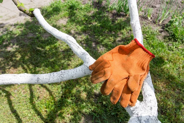 Garden orange gloves — Stock Photo, Image
