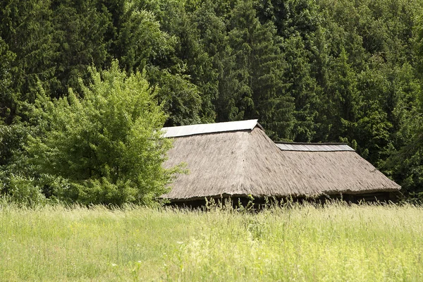 Huis met rieten dak — Stockfoto