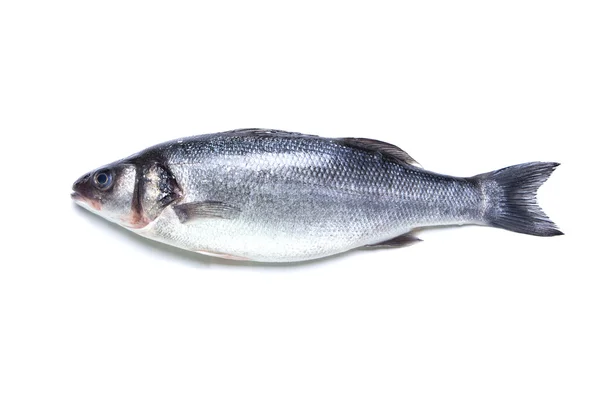 Strzępiel ryb na białym tle — Zdjęcie stockowe