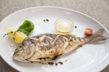 Dorado bir plaka üzerinde ızgara