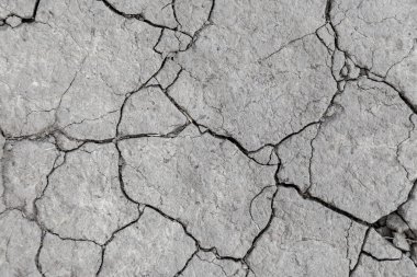 kuraklık kırık dünya