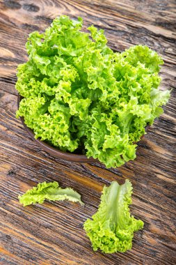 Marul yönetim kurulu