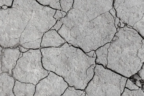 kuraklık kırık dünya