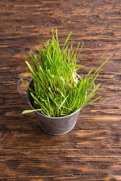 Trigo germinado sobre el fondo de madera — Foto de Stock