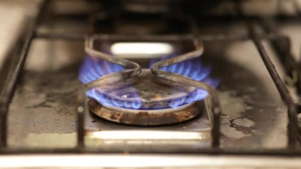 De gasbrander brandt met een blauwe vlam. — Stockvideo