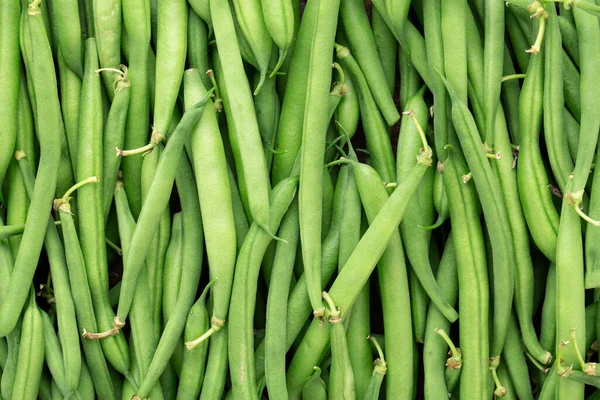 緑の豆の背景 健康的な野菜の新鮮な収穫 トップ表示 — ストック写真