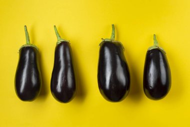 Sarı arka planda çiğ patlıcan. Taze sebzeler. Mesaj için yer var. Üst görünüm.