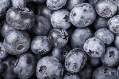 Taze yabanmersini arka planı. Doku yaban mersini yakından geliyor. Çeşitli taze yaz meyveleri sağlıklı ve diyet yeme kavramı. Lezzetli yemek..