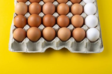 Renkli sarı arka planlı, karton yumurta kutusunda güzel, büyük, kırsal, taze yumurtalar. Metin için boşluk.