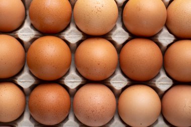 Karton yumurta kutusunda güzel, büyük, kırsal, taze yumurtalar. Üst görünüm.