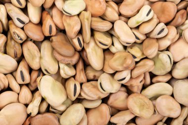 Arkaplan olarak serpiştirilmiş çiğ kuru fasulye. Fasulye dokusu açıkça görülüyor. tex için yer