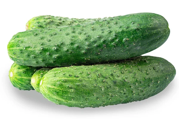 Vijf Komkommers Een Geïsoleerde Witte Achtergrond Caloriearm Voedsel Gezond Voedsel — Stockfoto