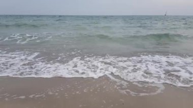 Martılar ve deniz dalgalarında yelkenli bir gemi. Fırtınalı hava. Fırtınalı deniz.