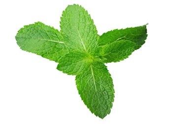Beyaz arka planda izole edilmiş taze çiğ nane yaprakları. Yaprak dokusu. Dosya kırpma yolu içeriyor.