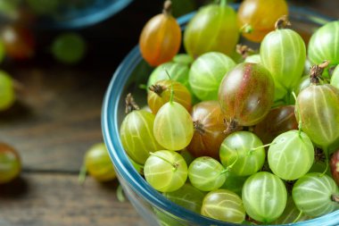 Cam bir tabakta olgun bektaşi üzümü, yazı koyacak yer, üst manzara, yaz hasadı böğürtlen. Ev yapımı lezzetli ve sağlıklı dut hasadı.